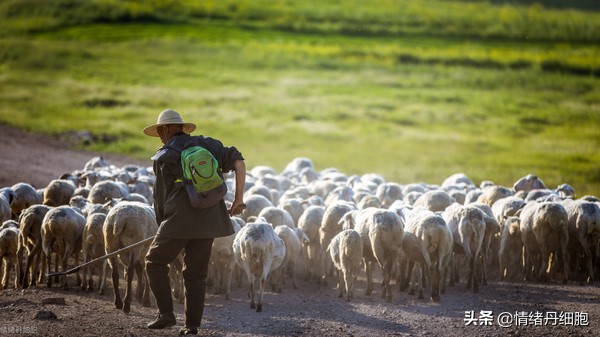 门头沟避暑景点推荐,柳树沟自然风景区旅游攻略