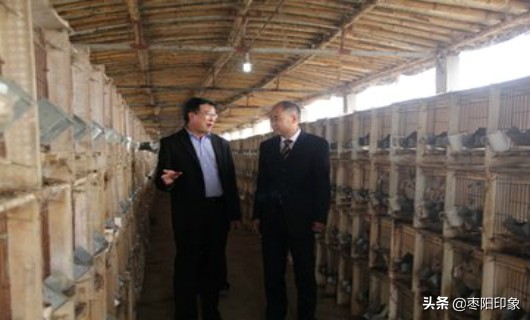 农民朋友们创业可以向中银富登村镇银行低门槛*款贷**，你知道吗？