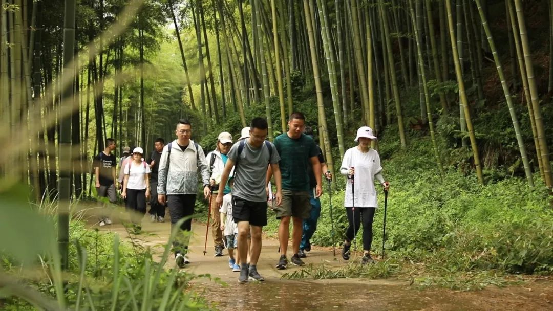 站点新闻|新站点首期会员活动“寻找菩提岛”之莫干山之旅