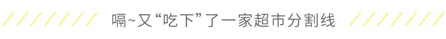 这家血统纯正的日本超市，也太好买了吧
