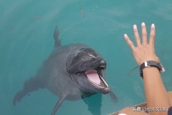 漫漫浪帕劳旅游,帕劳旅游酒店价格表