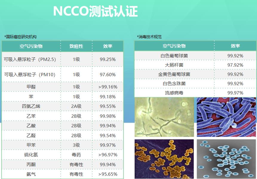 空净分解技术哪家强?RHT-NCCO技术VS友好CH-CUT技术