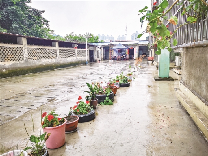 又到“7.11”今年不一样“我们这里很安全”——重访青白江大弯街道紫苑小区