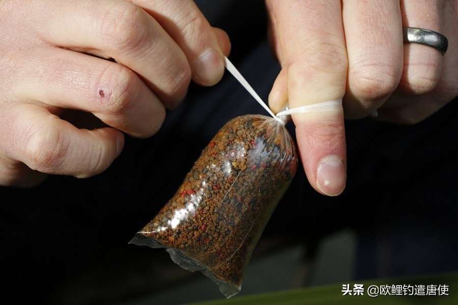 外国人钓鱼打窝技巧,老外用超大饵钓鱼