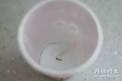 纸杯还能这样做你学到了吗,纸杯还可以这样玩儿