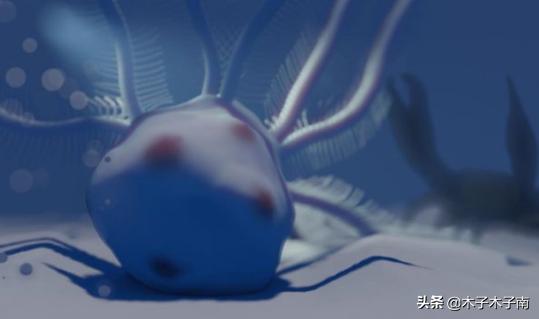 1000年前的海洋里的生物有多大呢,史前生物海百合