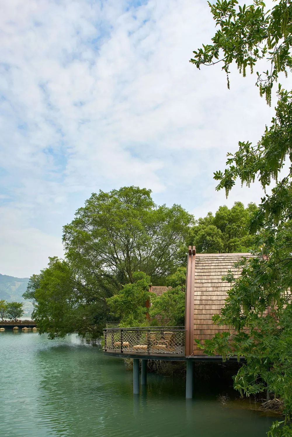 真正的森林树屋,这些树屋满足你对森林的所有幻想