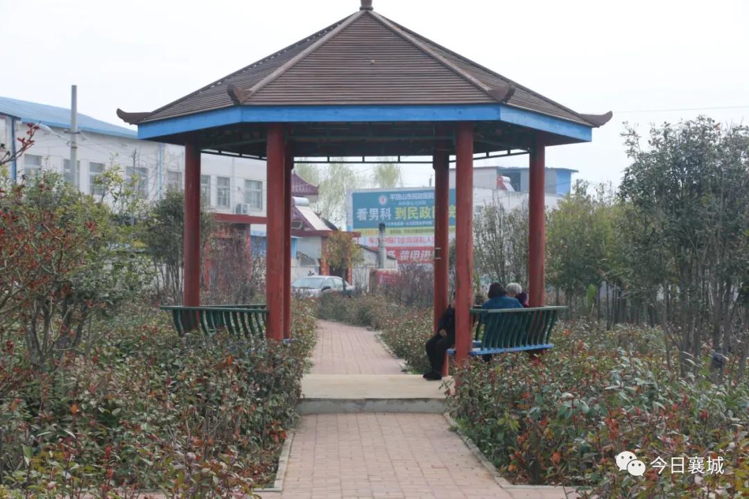 移民多年回到中国的感受,移民这十年淅川