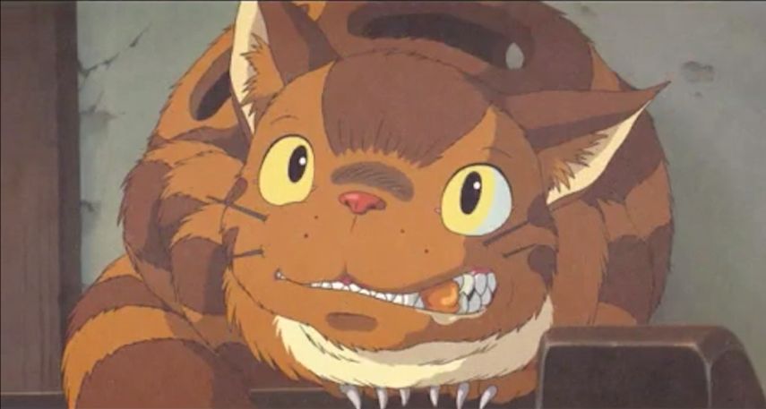 龙猫和小梅的奇遇,龙猫电影小梅片段