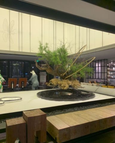 天津降温最快的地方,天津最近降温天气如何