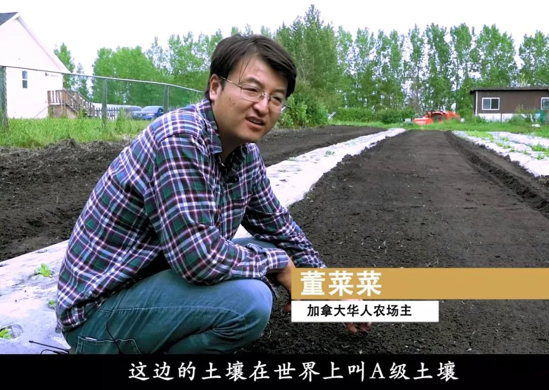 董菜菜抖音,董菜菜最新视频