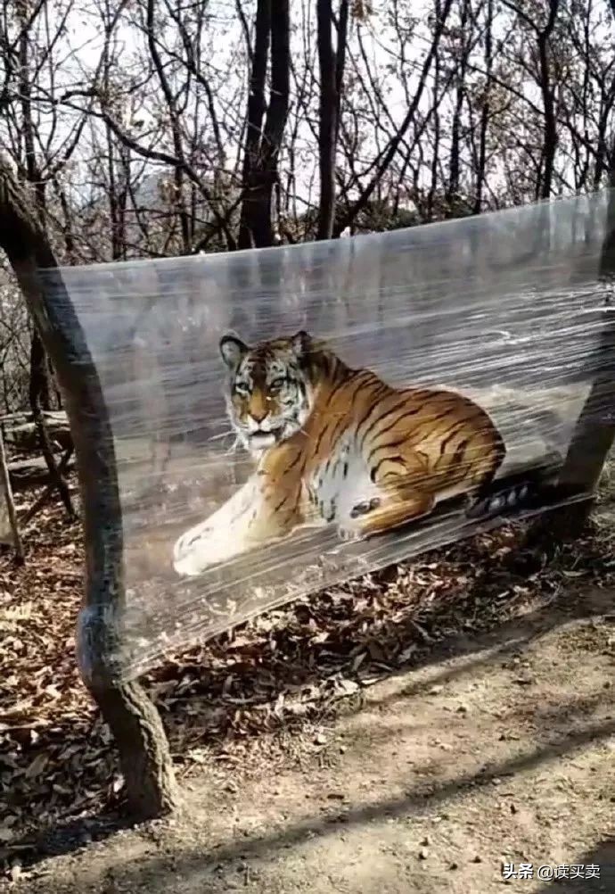 怎么样判断一个男生直不直男,怎么判断一个男的直不直男