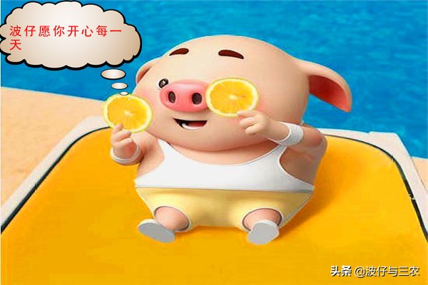 新农村种田创业,年轻人回家种田创业