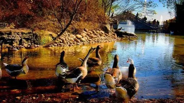 北京这38个森林公园您先收藏了!定个小目标,有空儿玩个遍!