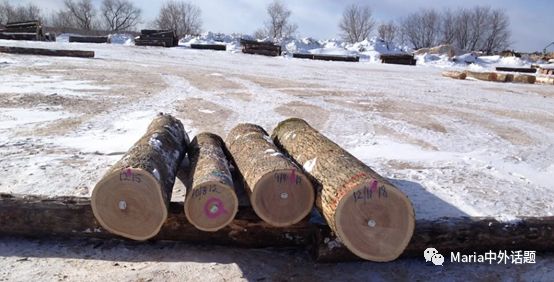 美国硬木干货价格,北美硬木排行