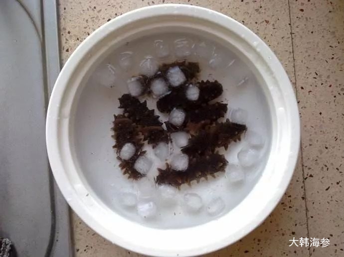 海参泡发即食后为什么有层粘液,即食海参泡发的正确方法和步骤