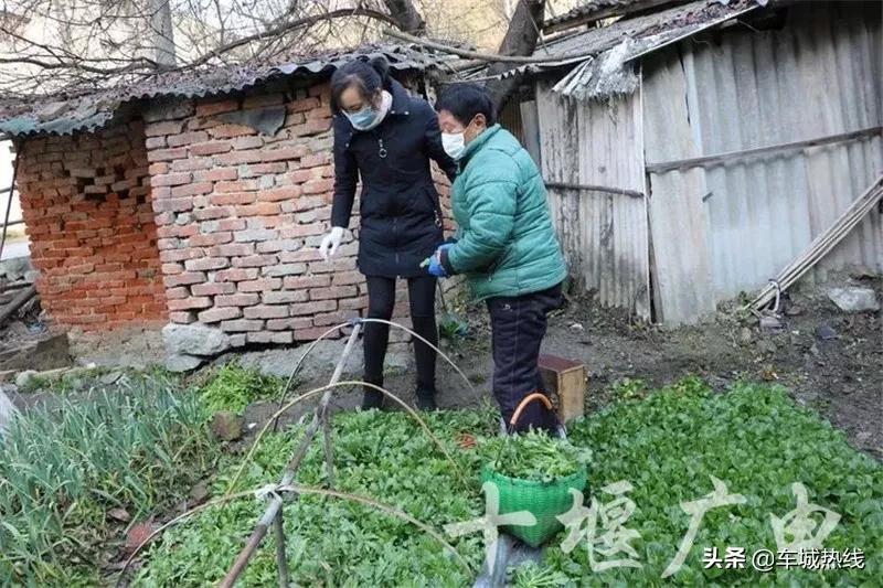 打赢这场仗就回去和你结婚图片,打赢这场仗就回去和你结婚完整版