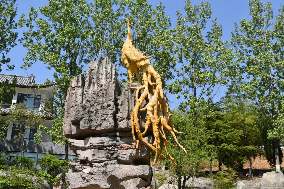 曾经的青岛雨林谷，摇身一变身价爆涨，门票太贵游人稀少