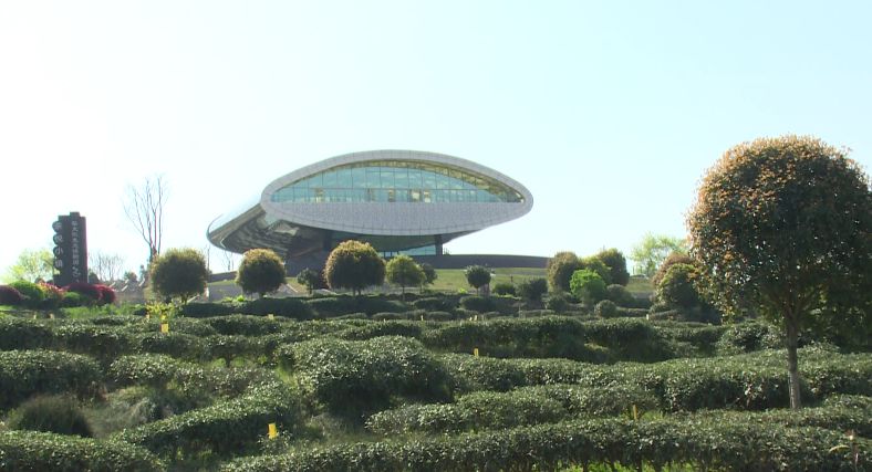 成都周边春季徒步旅游攻略,成都森林徒步旅游攻略