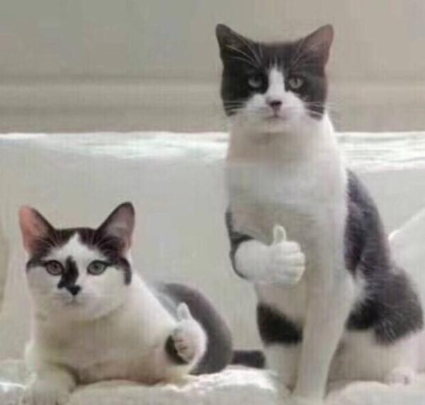 祝绪丹男扮女装新剧,祝绪丹演傻白甜