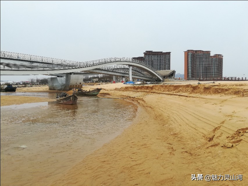 青岛大叔赶海全集,赶海大叔抓海鲜视频