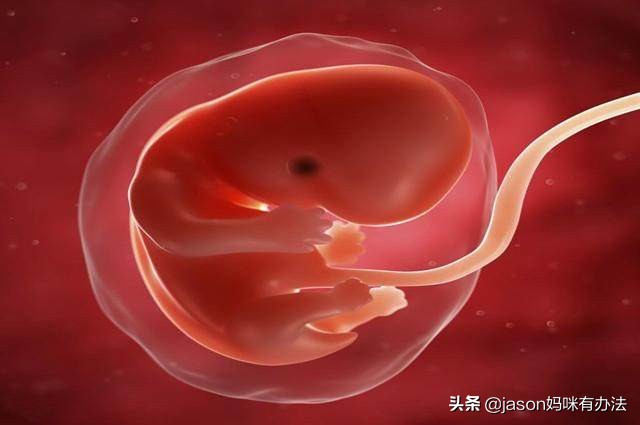 怀孕六周b超结果显示异常回声,怀孕六周b超显示胎心