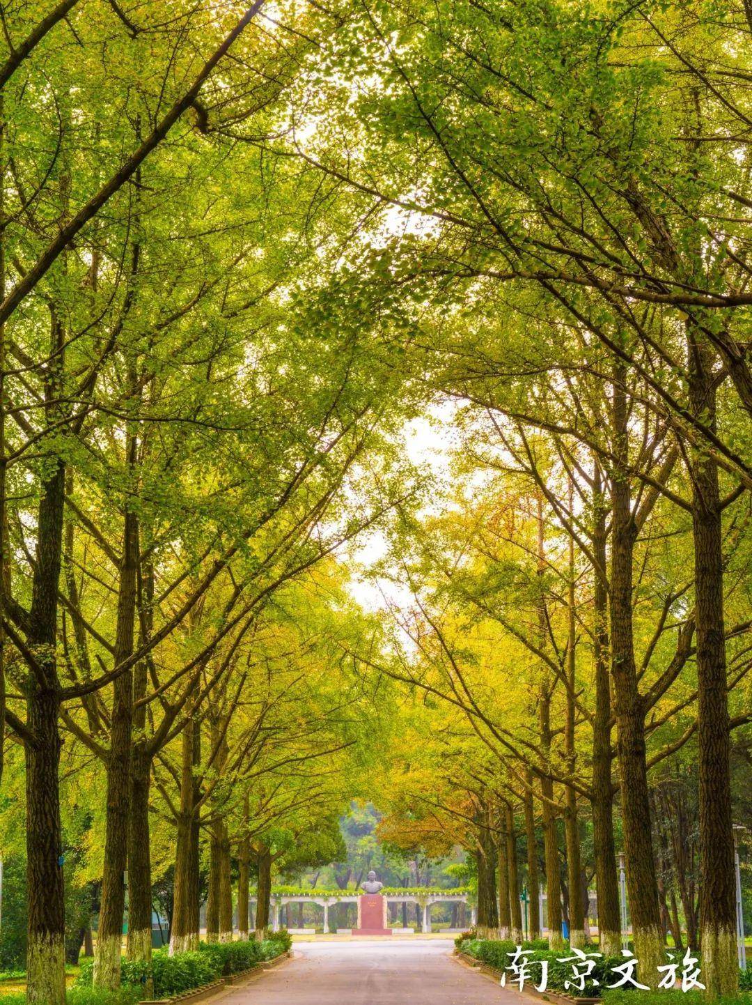 初春南京一日游攻略导图,南京秋景一日游的攻略