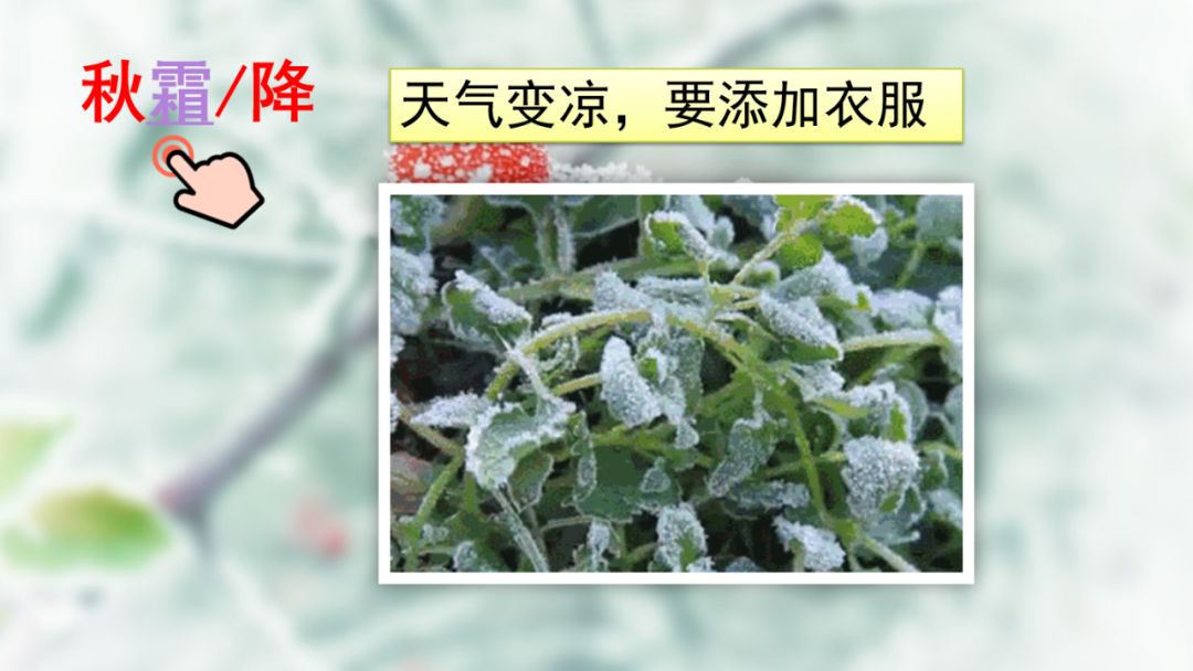 部编版一年级语文上识字表,识字一春夏秋冬课文