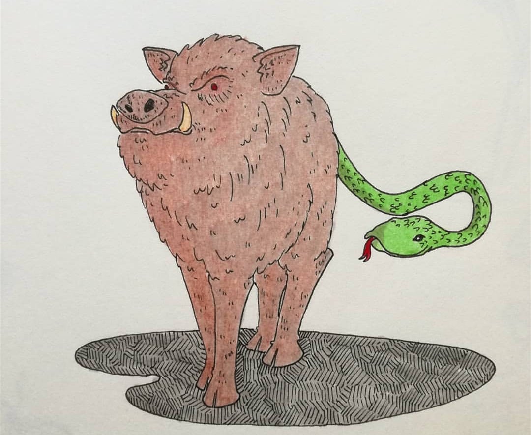 猪为什么不怕毒蛇还吃蛇,猪吃毒蛇不中毒吗