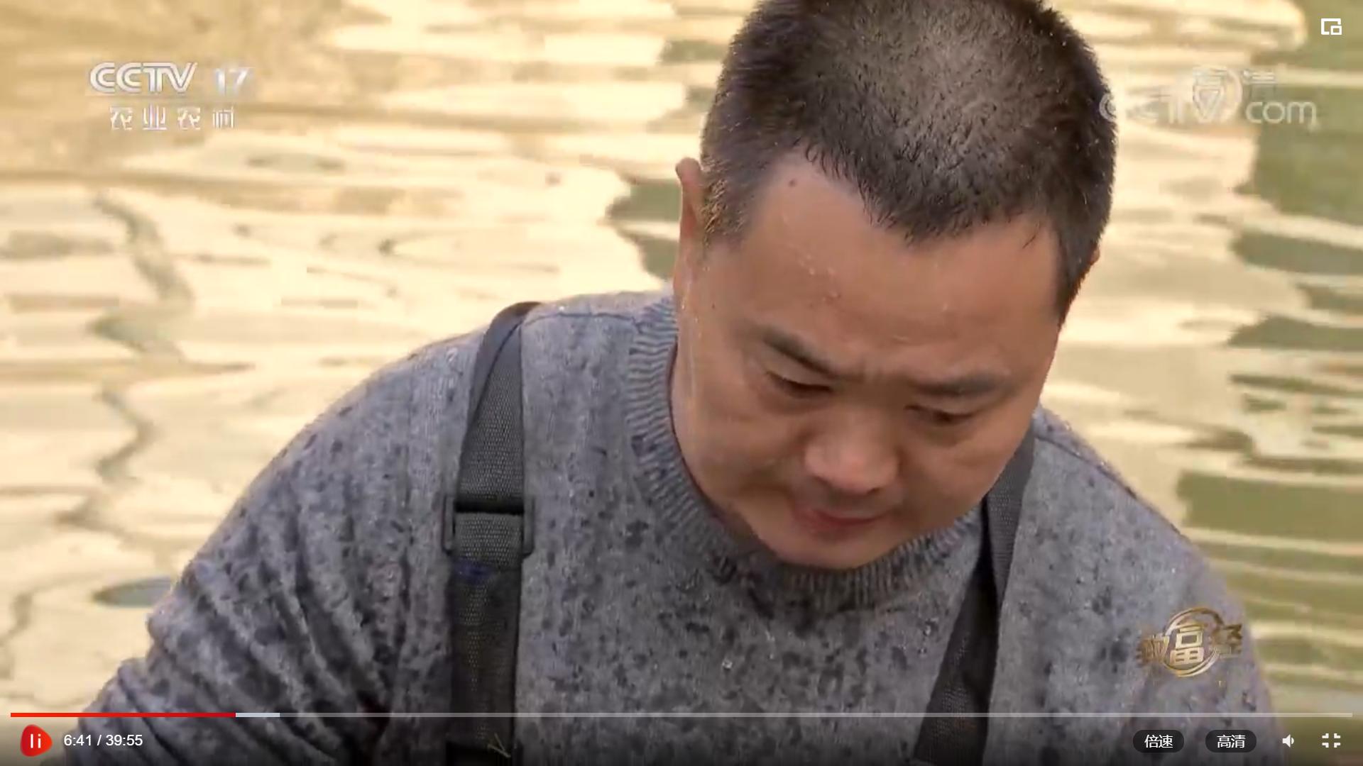 小伙返乡养鱼一亩地赚4份钱,大叔养鱼年赚60万