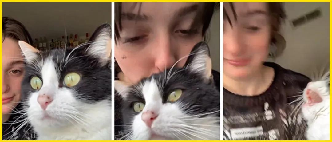 当你亲了猫一下它会摇尾巴,当你亲了猫一口会发生什么