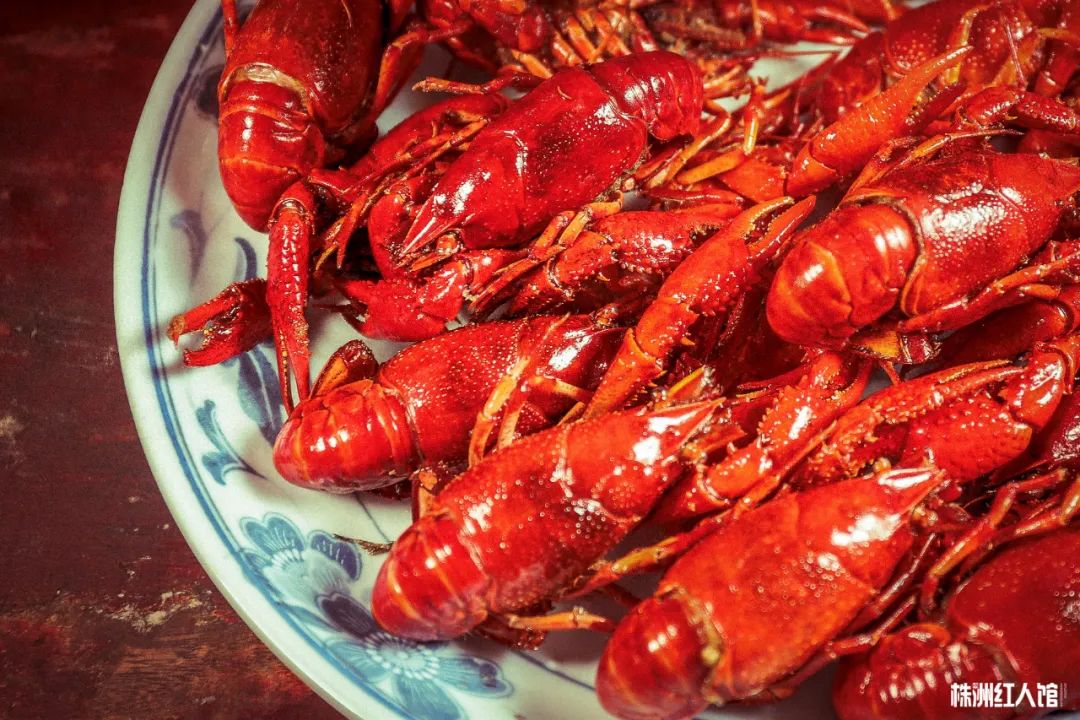 神经哥回归过程,神经哥原唱歌曲