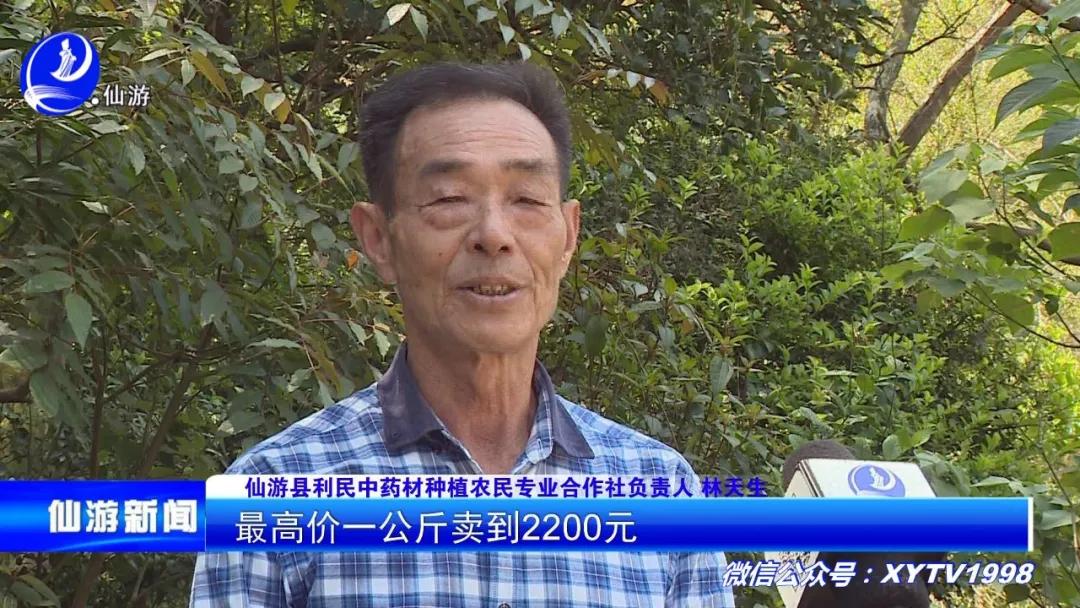 好果！仙游药农摸索这项提炼技术，竟然让大家收入