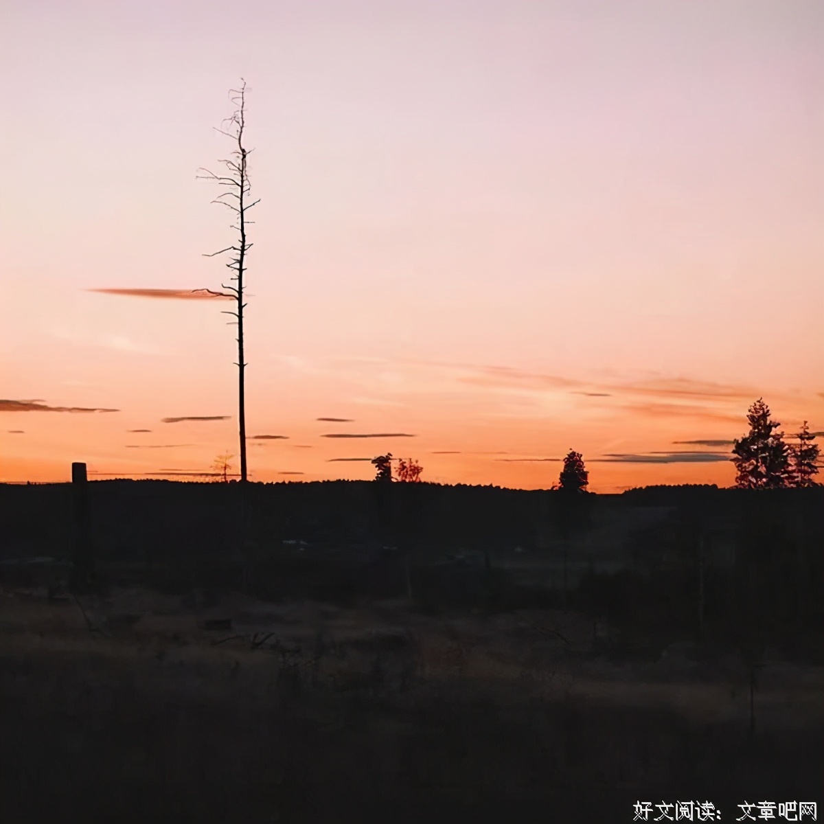 适合发朋友圈的45句人间绝句,人间绝句令人惊艳的诗句是什么