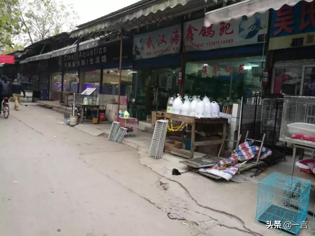 萌宠经济消费升级，藏身汉口北的超值宠物用品基地不容错过