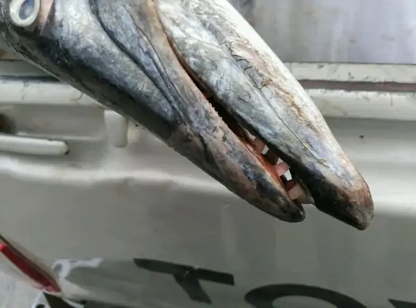 带你去赤道看海,赤道几内亚国家地图