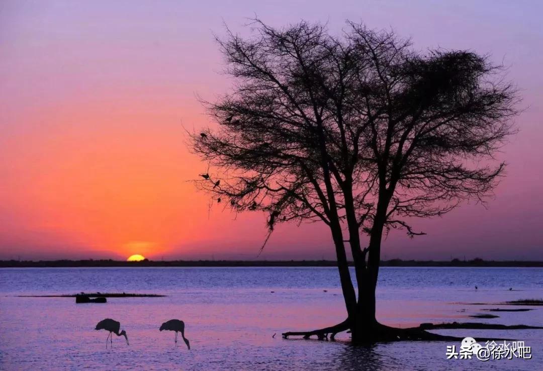 「徐水映像」换个角度看保定徐水,美