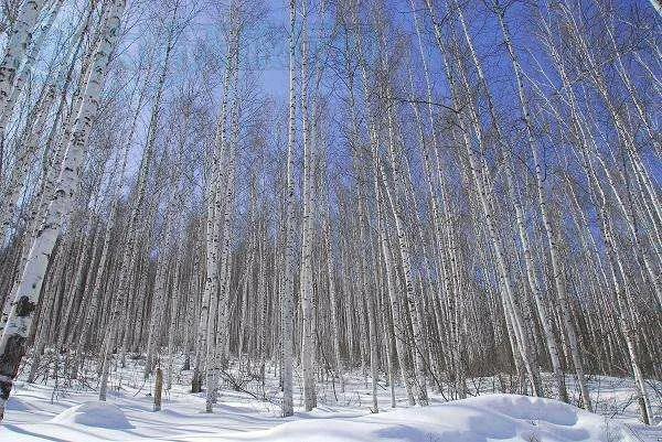 我的老班长唱谱,我的老班长原唱完整版