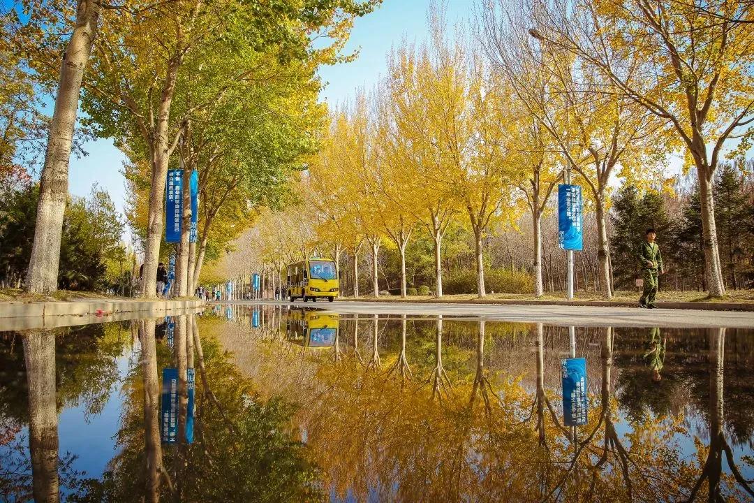 辽宁省重点大学沈阳航空航天,沈阳航空航天大学在辽宁省提前批