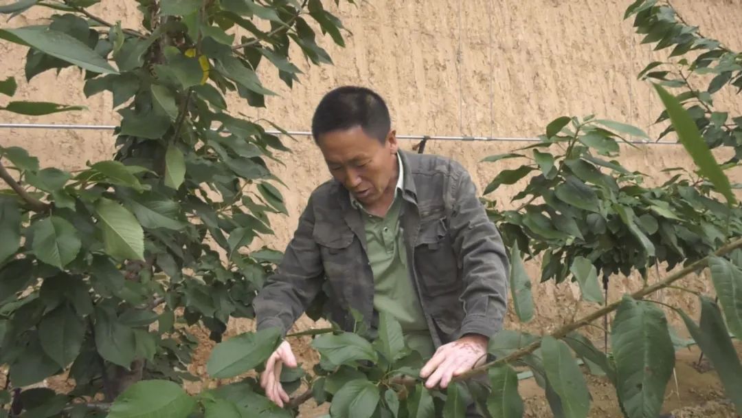 走基层看变化,走乡村看变化