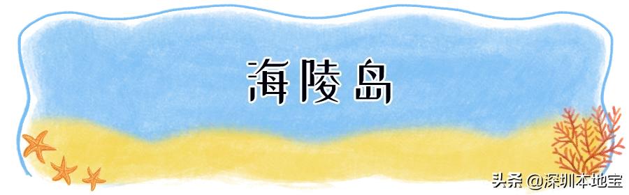 深圳出海到达的超美海岛,深圳最美海岛旅游攻略