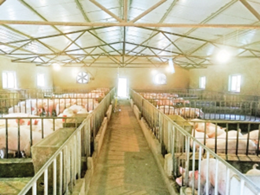 产业强农村美农民富,产业兴农民富村庄美