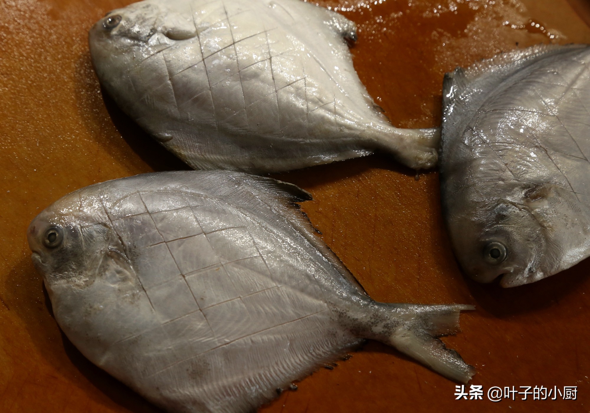 24种烧河鱼的做法,烧鱼用什么鱼最好鱼刺最少