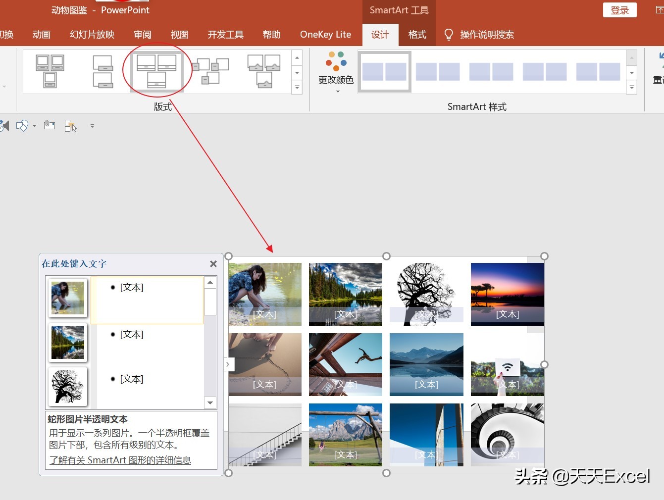 ppt怎么快速对齐排版,wps中多张ppt怎么快速排版图片