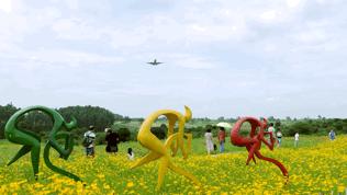 双流空港花田最新进展,双流空港花田开放了吗最新回复