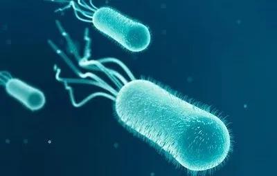 pct异常有什么危害,导致pct升高的常见疾病