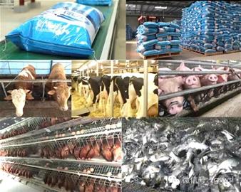 泸州古蔺县：政府质量奖获奖企业的“质量之道”