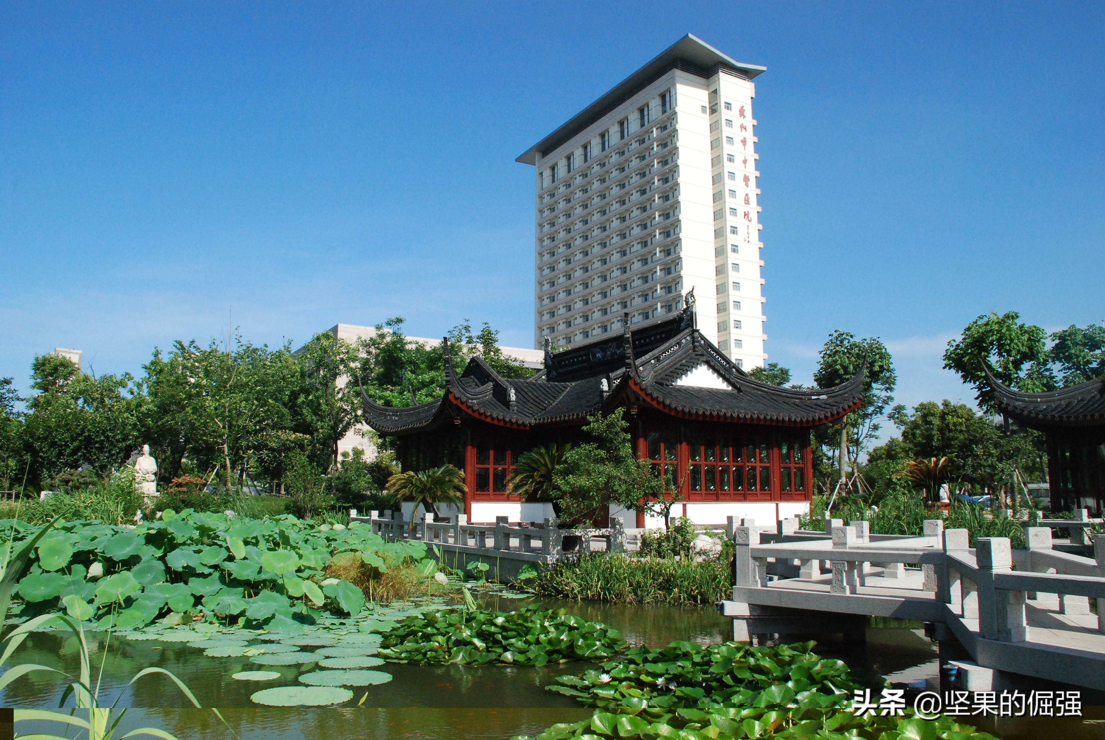 苏州市三甲医院清单,苏州三甲医院排名及分布