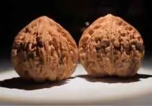 文玩品鉴视频,广善文玩精品文玩核桃