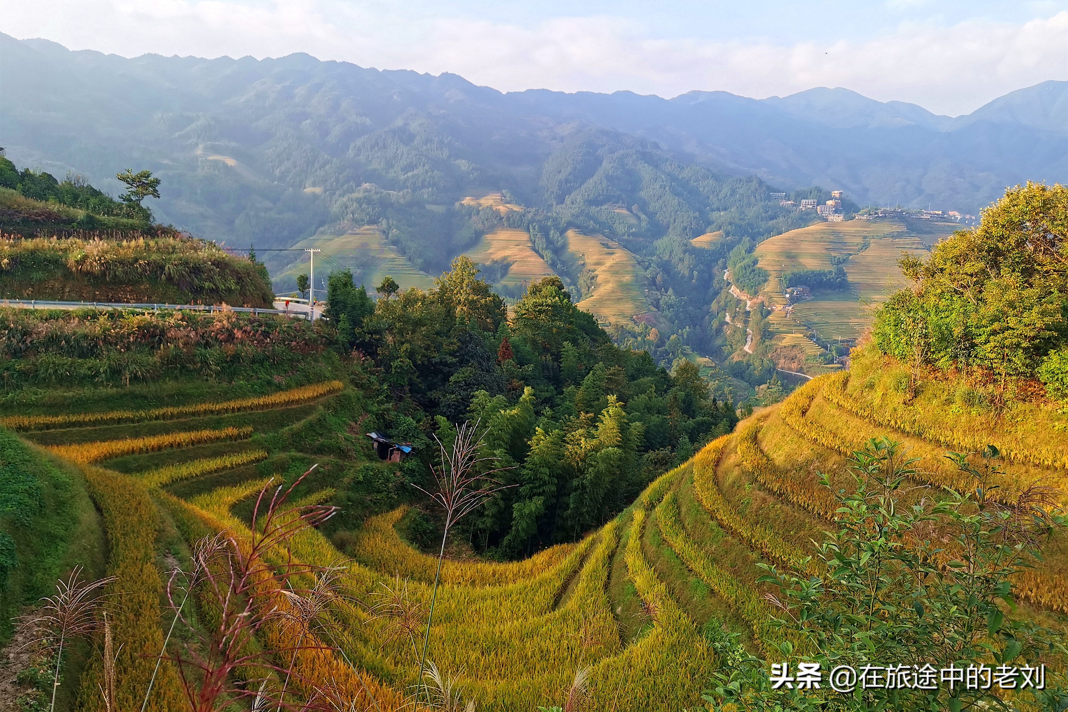 远赴龙脊大寨梯田，追逐今年最后的金黄——桂林七天游1